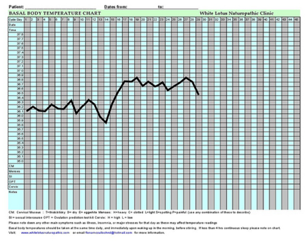 Menstrual Cycle Temperature Chart