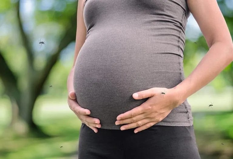 Dengue In Pregnancy - Does It Affect Baby?