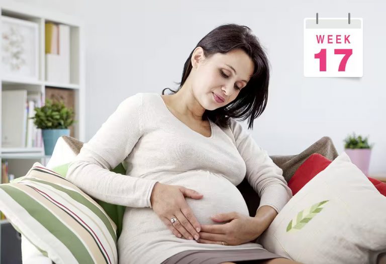 17 Weeks Pregnant: Symptoms, Baby Development, Belly Size & More