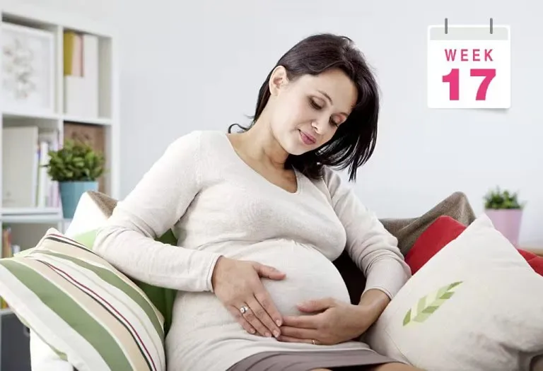17 Weeks Pregnant: Symptoms, Baby Development, Belly Size & More