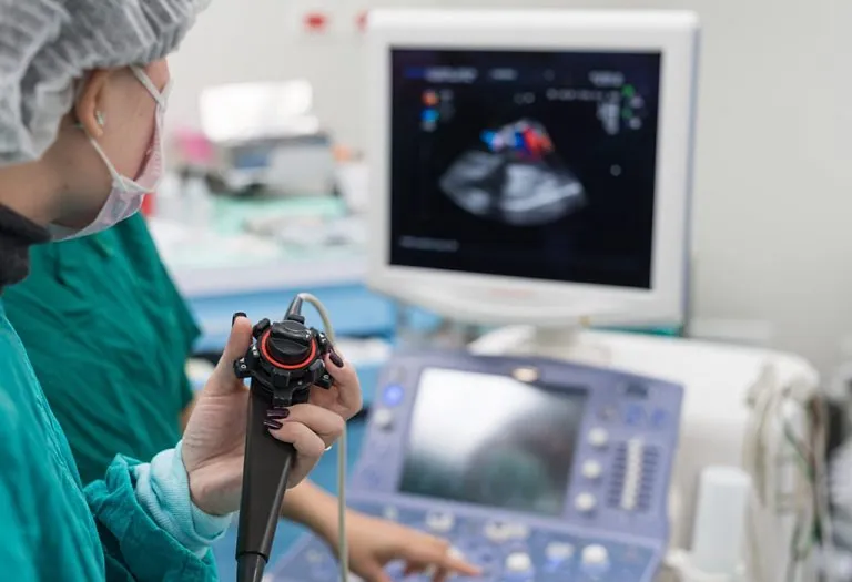 Foetal Echocardiography