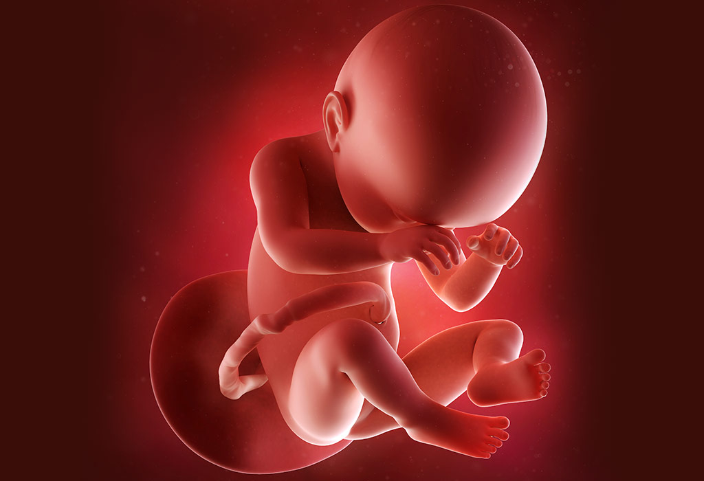 गर्भावस्था के 38वें सप्ताह में आपके बच्चे का विकास
