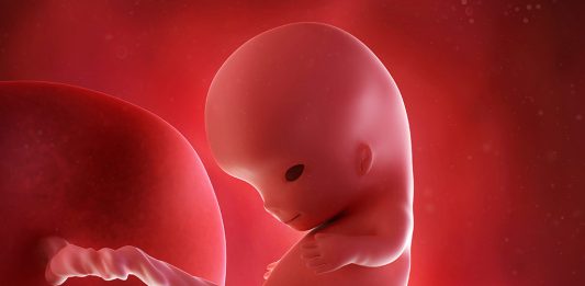 गर्भावस्था : 10वां सप्ताह गर्भावस्था : 10वां सप्ताह