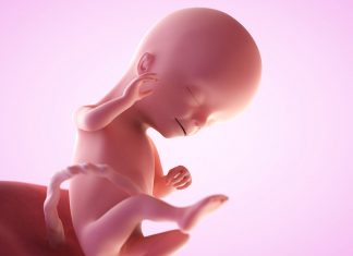 ১৬ সপ্তাহের গর্ভবতী: কি আশা করা যায়