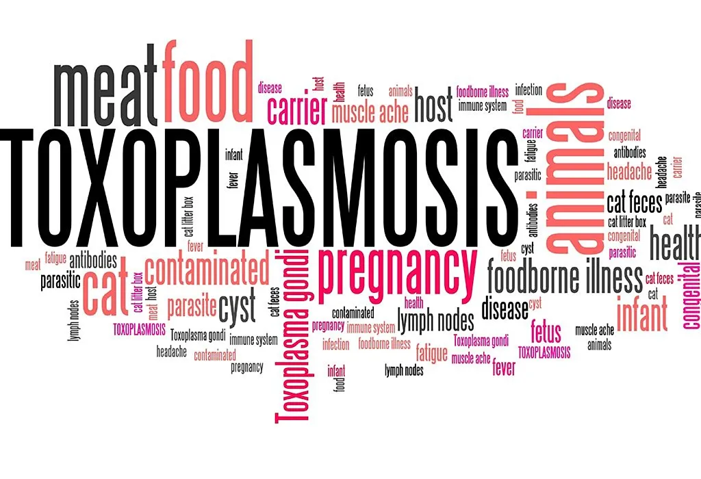 Toxoplasmosis during Pregnancy Reasons Signs Treatment