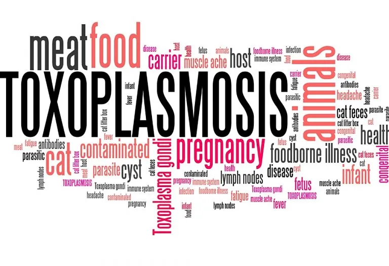 Toxoplasmosis in Pregnancy: Causes, Symptoms & Risks