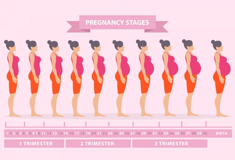 Body Changes During Pregnancy - Week By Week