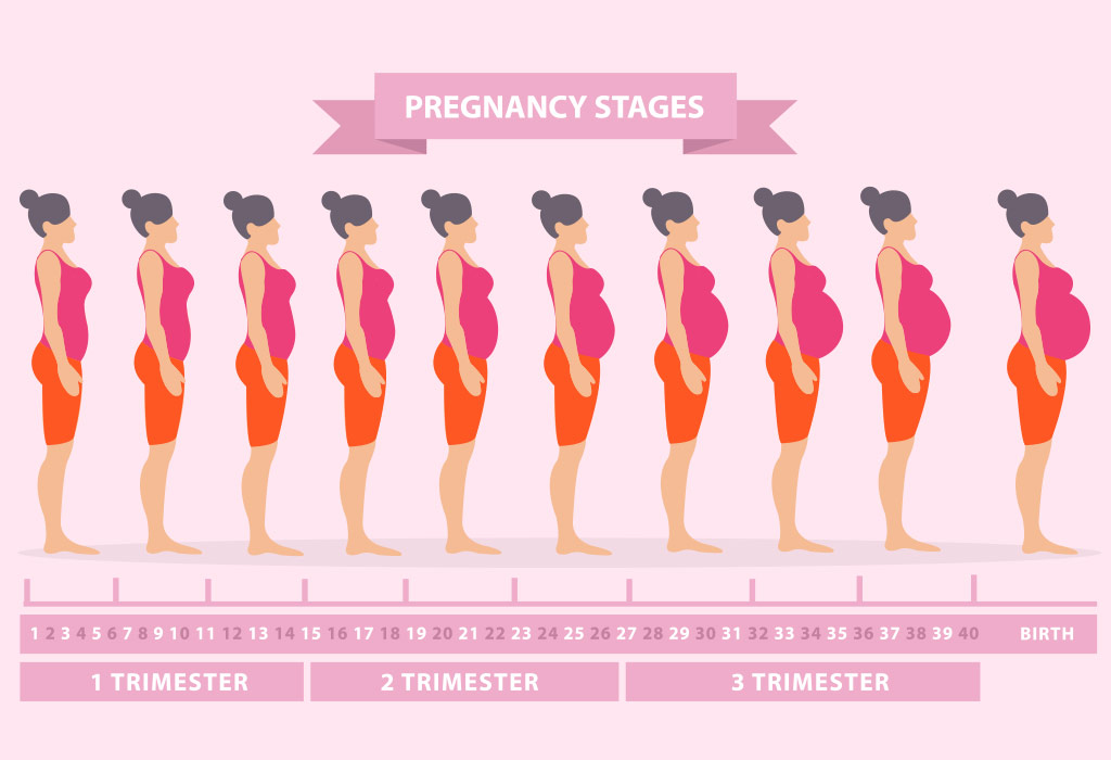 Pregnancy changes your body