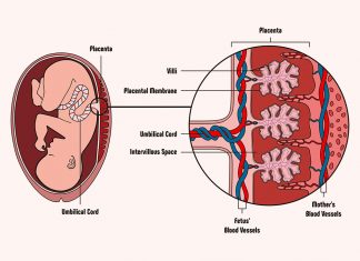 गर्भावस्था के दौरान एंटीरियर प्लेसेंटा