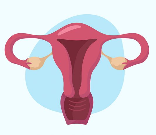 গর্ভাবস্থায় জরায়ুর অবস্থা