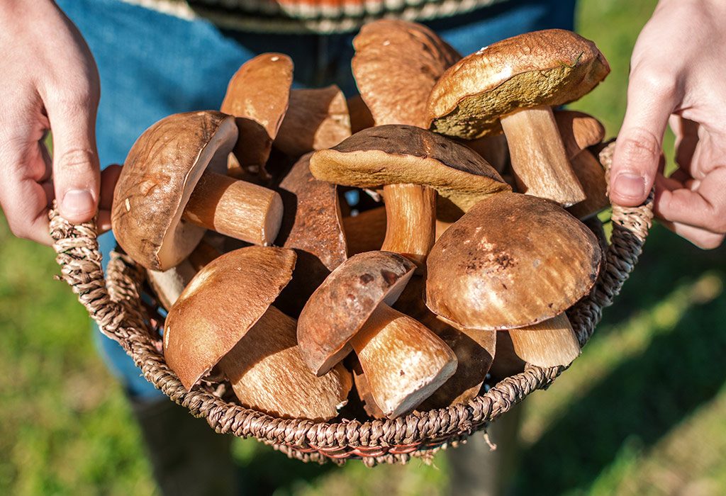 Can You Eat Mushrooms While Pregnant?