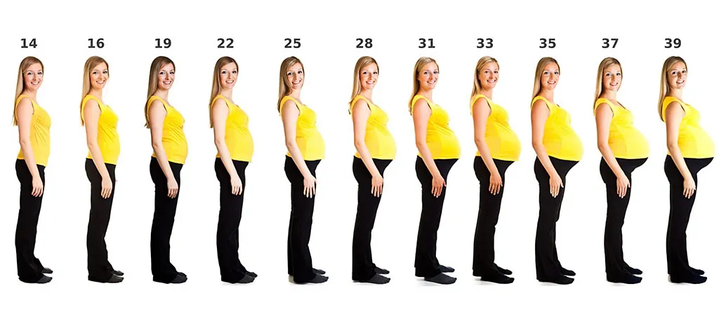 34 weeks to 39 weeks 34 weeks to 39 weeks