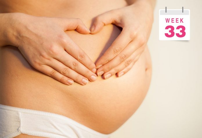 33 Weeks Pregnant: What to Expect