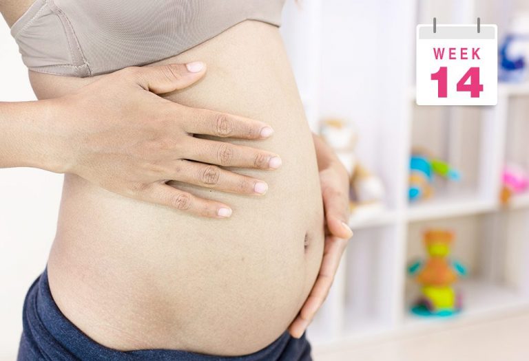14 Weeks Pregnant: Symptoms, Ultrasound & Belly Size