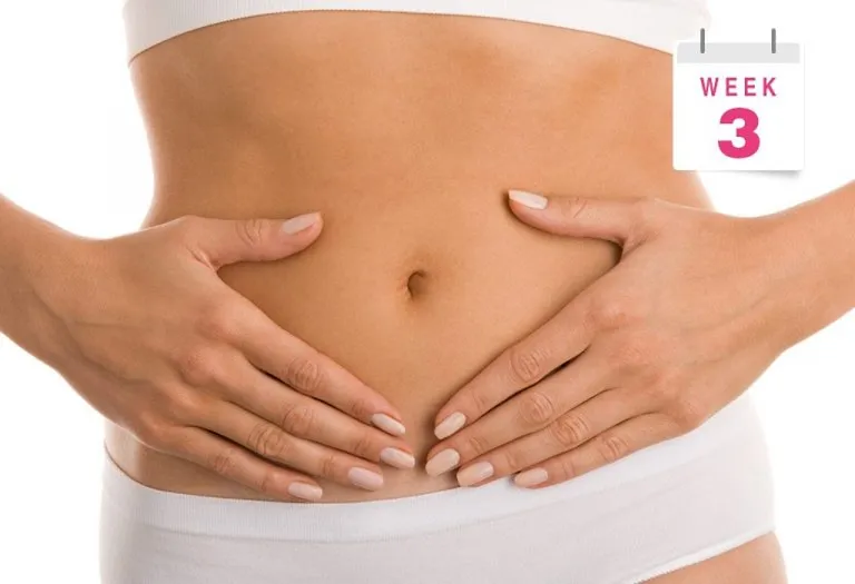 3 Weeks Pregnant: Signs, Symptoms & Belly Size