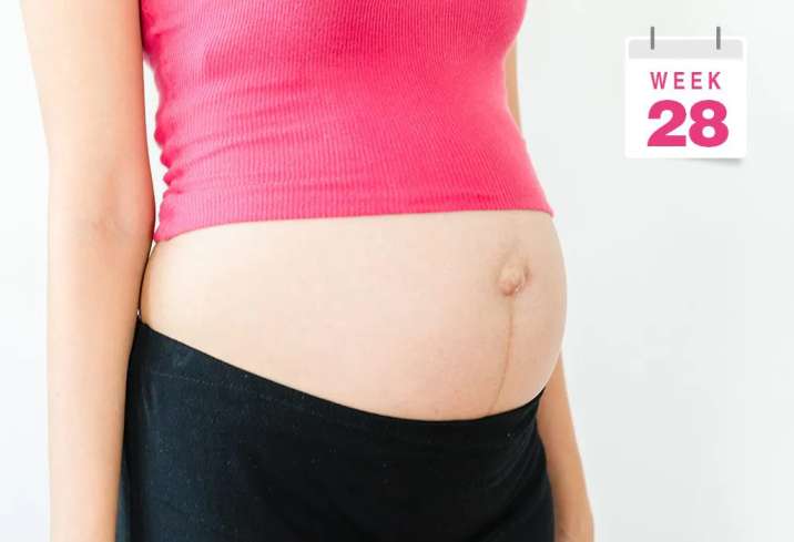 28 Weeks Pregnant – Symptoms, Baby Development, Diet & More