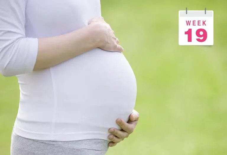 19 Weeks Pregnant: Ultrasound, Symptoms, & Belly Size