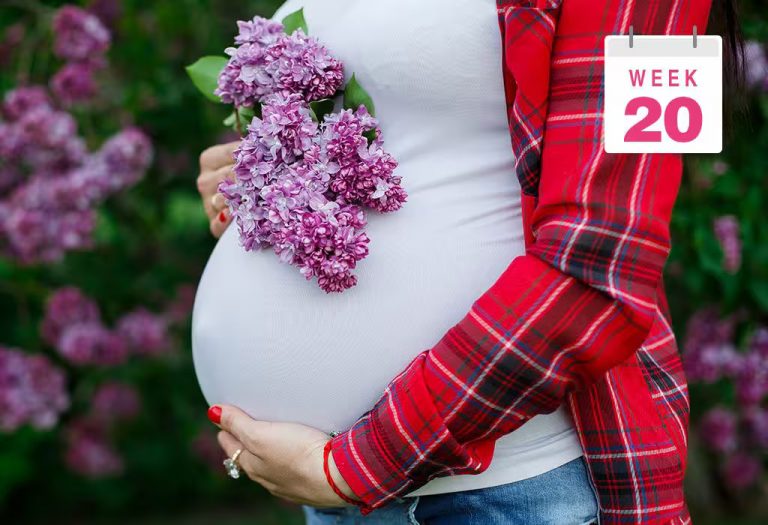 20 Weeks Pregnant: Ultrasound, Symptoms, & Belly Size