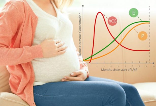 Do Low Hcg Levels Indicate Boy