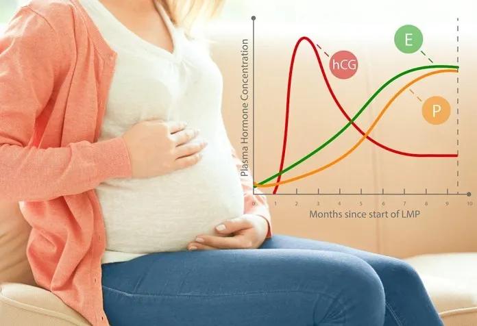 hCG levels in Twin Pregnancy