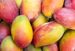 Week 19 baby size- mango