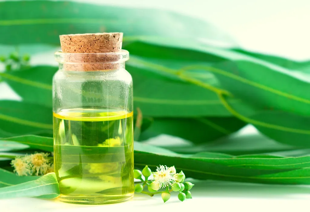 Eucalyptus Oil