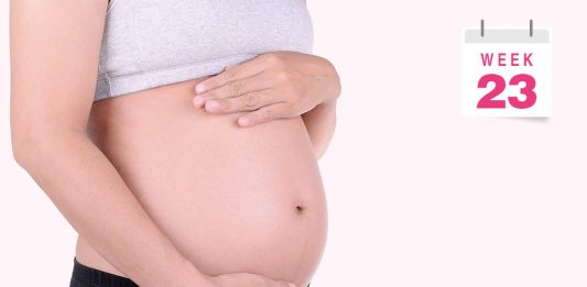 गर्भावस्था: 23वां सप्ताह गर्भावस्था: 23वां सप्ताह