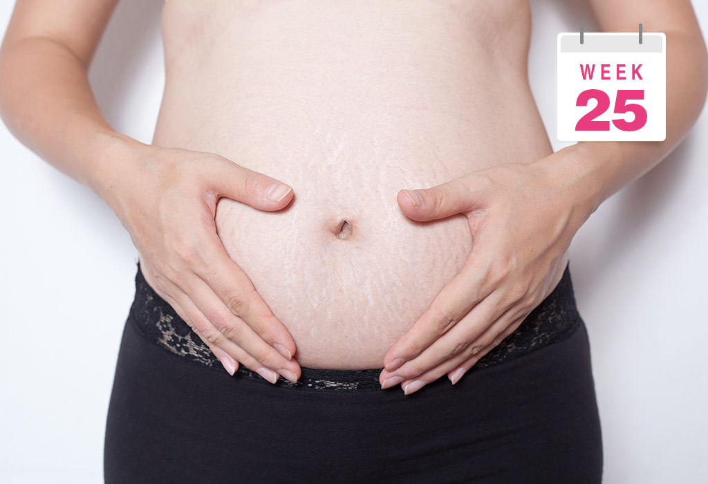 25 WEEKS PREGNANT
 25 Weeks Pregnant Baby Size
