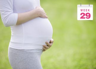 ২৯ সপ্তাহের গর্ভবতীঃ কী আশা করা যায়?