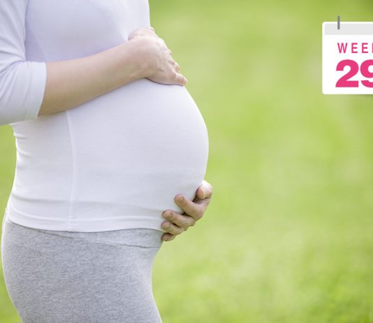 ২৯ সপ্তাহের গর্ভবতীঃ কী আশা করা যায়?