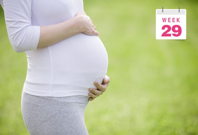 29 Weeks Pregnant Women