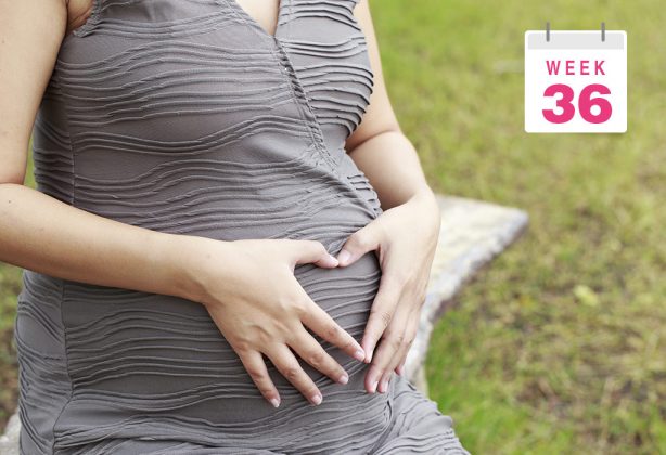 36 सप्ताह की प्रेग्नेंसी लक्षण शिशु का आकार व शारीरिक परिवर्तन 36 Weeks Pregnant In Hindi 