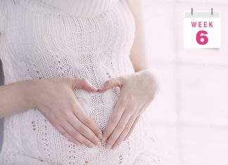 गर्भावस्था: छठे सप्ताह
