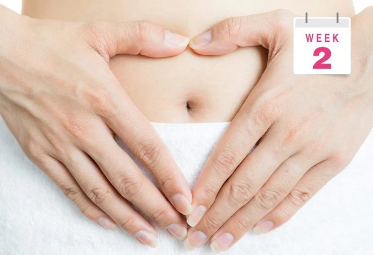 2 Weeks Pregnant – Symptoms, Baby Size & Care Tips