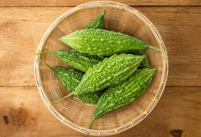 eating-bitter-gourd-karela-in-pregnancy