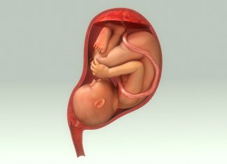 গর্ভাবস্থায় প্ল্যাসেন্টার সাধারণ অবস্থানগুলি গর্ভাবস্থায় প্ল্যাসেন্টার সাধারণ অবস্থানগুলি