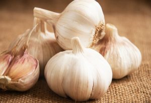 garlic bulbs