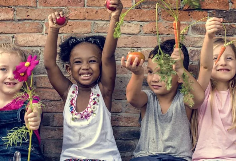 Social And Emotional Development In Children