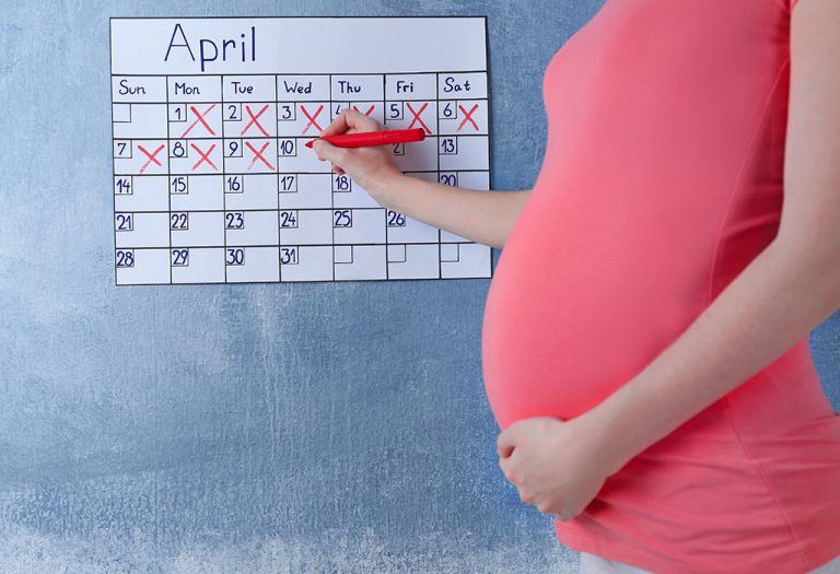 Calculate Your Pregnancy- By Months, Weeks and Trimester