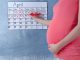 Calculate Your Pregnancy - By Months, Weeks and Trimester