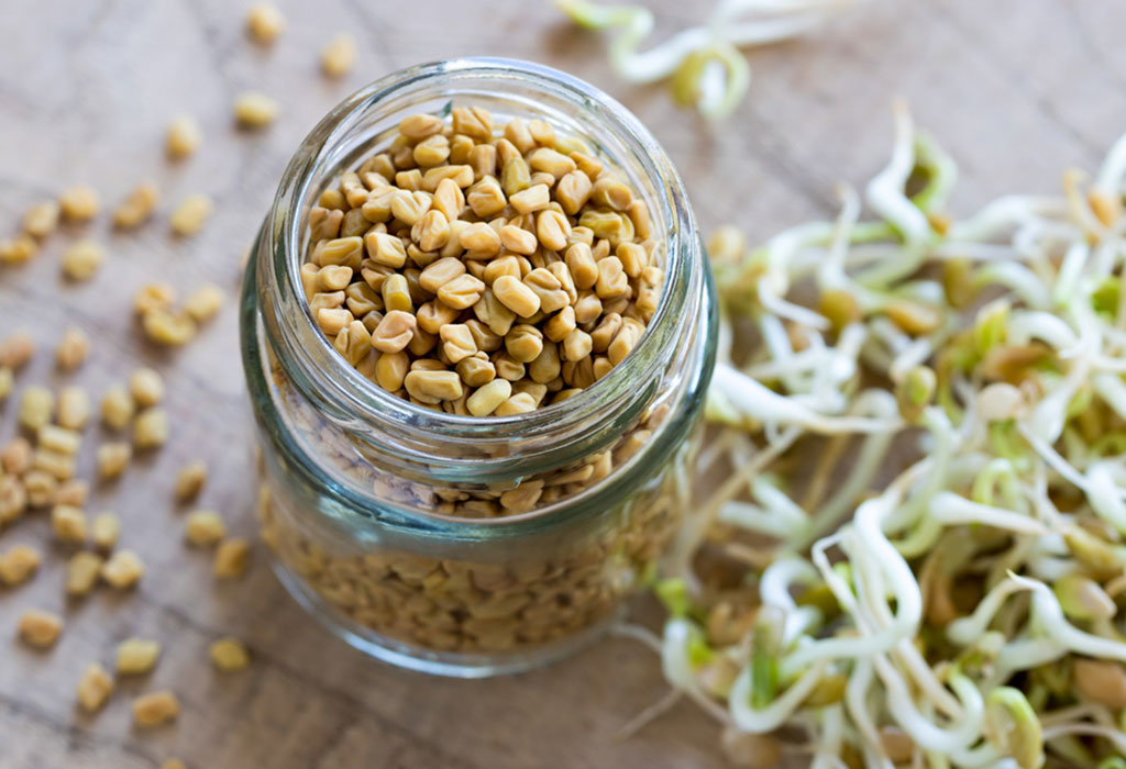 Consuming Fenugreek While Pregnant Benefits Side Effects
