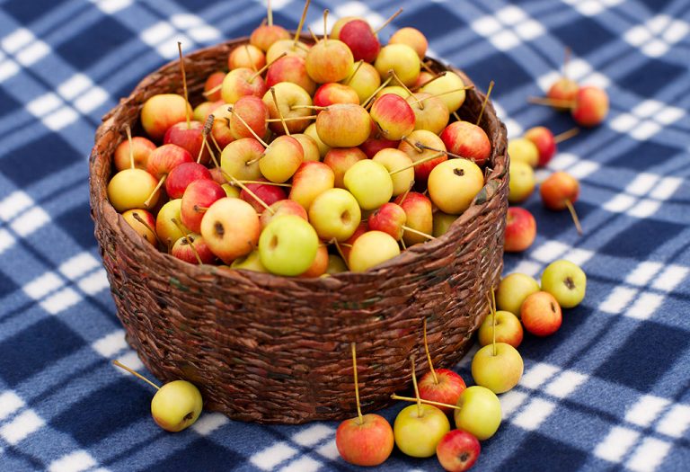 Wild Apples