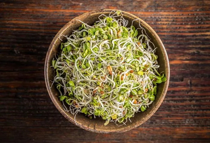 Raw Sprouts