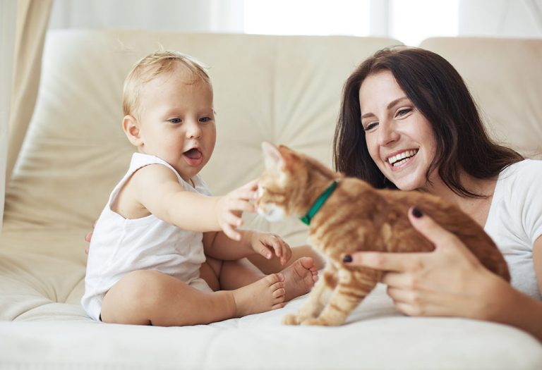 Babies and Pets - How to Introduce, Benefits & Safety Tips