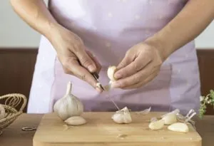 Garlic
