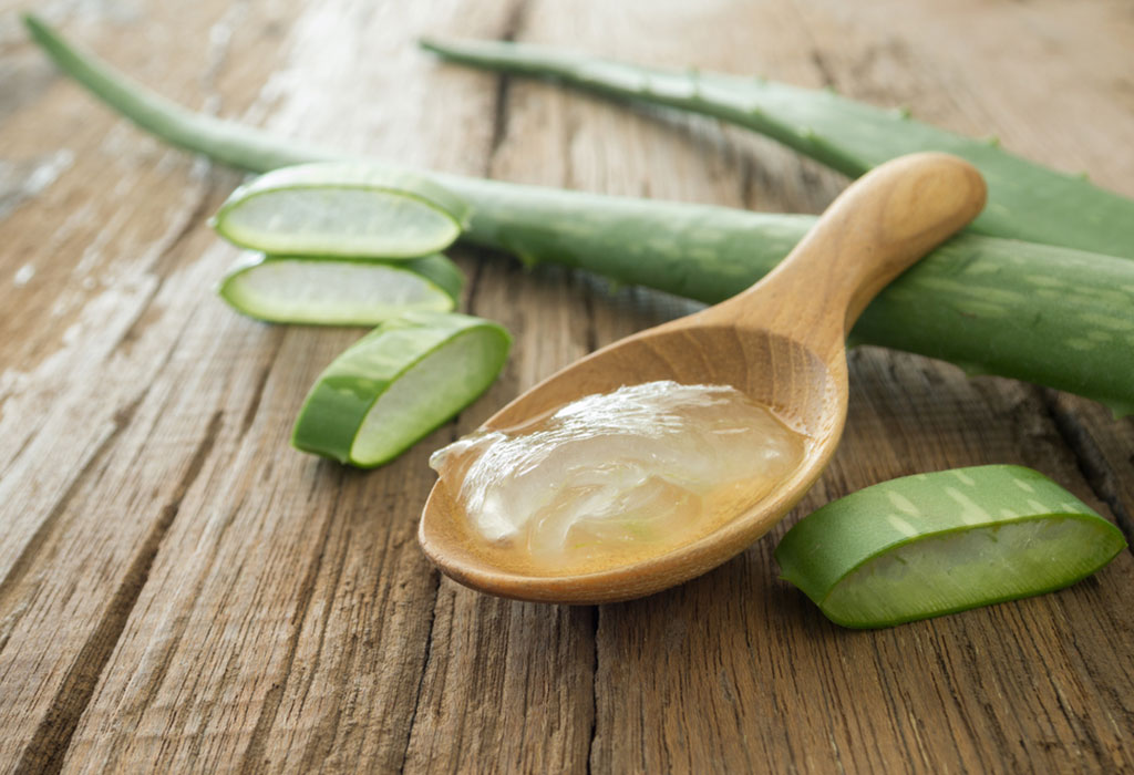 Benefits of Aloe Vera During Pregnancy 