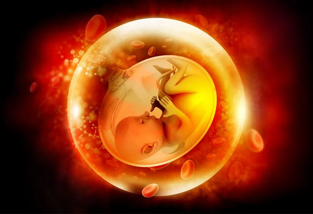 How To Increase Fetal Weight During Pregnancy 