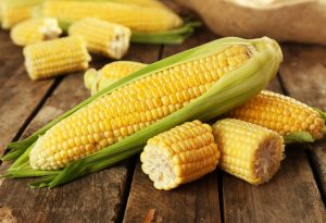 Corn kept on a wooden table