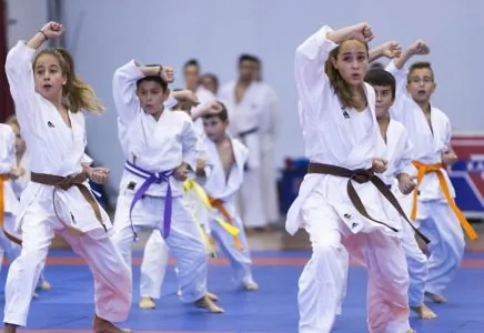 बच्चों को मार्शल आर्ट सिखाने के लाभ