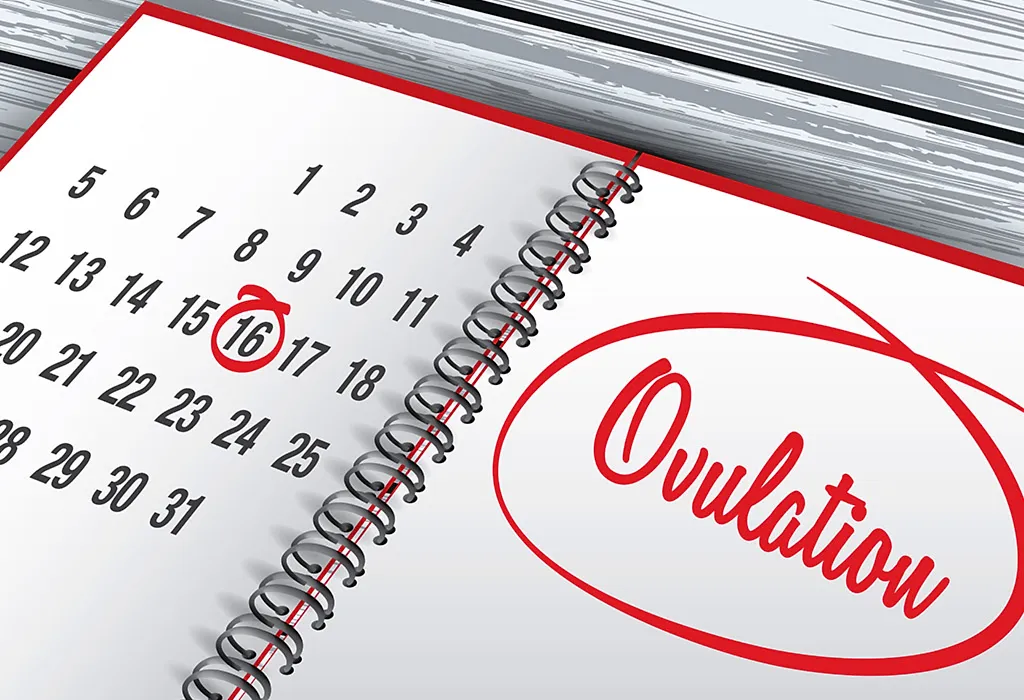 How to Calculate Ovulation And Safe Period in Women – Information Parlour